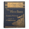 The Water-Babies by Charles Kingsley