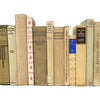 Books by the Foot: Vintage Beige