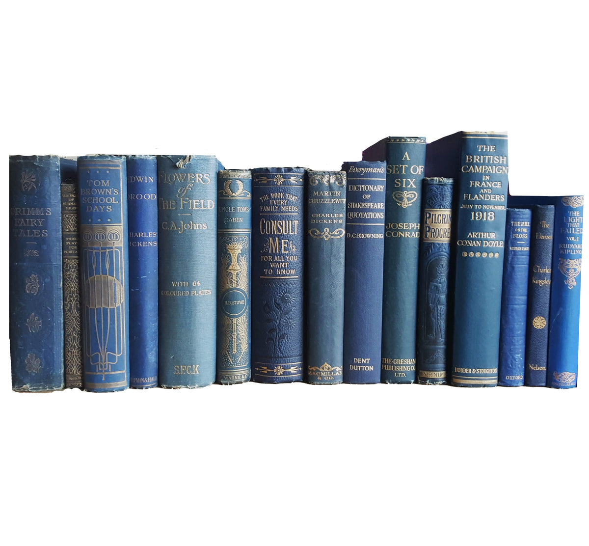 Books by the Foot: Highly Decorative Blue &amp; Gold