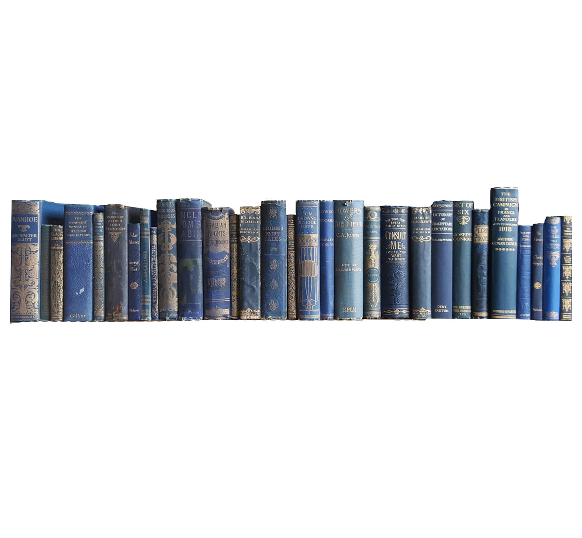 Books by the Foot: Highly Decorative Blue &amp; Gold