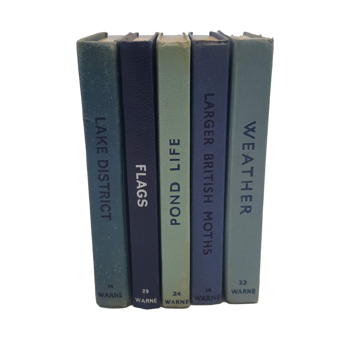 Observer Five Book Blue Collection