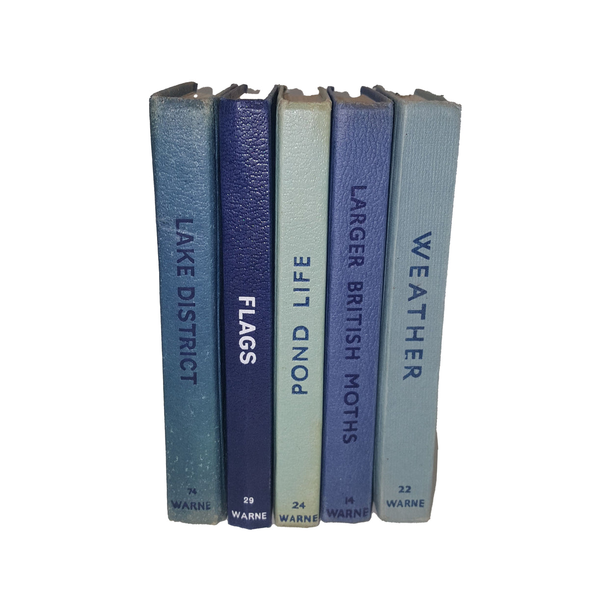 Observer Five Book Blue Collection