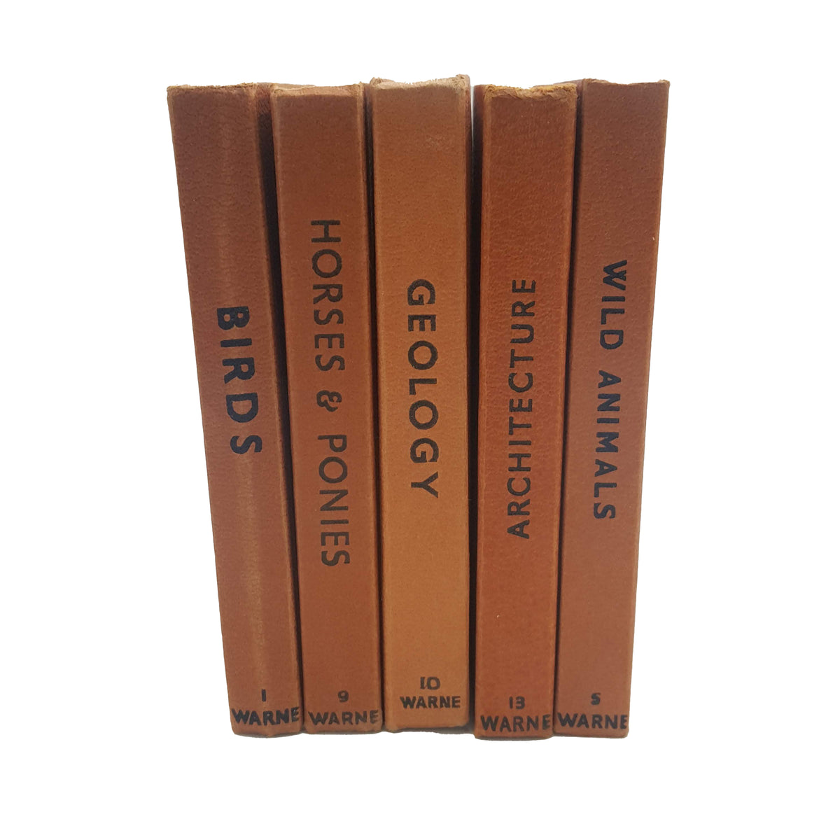 Half a Foot of Brown Observer Books (9 Books)