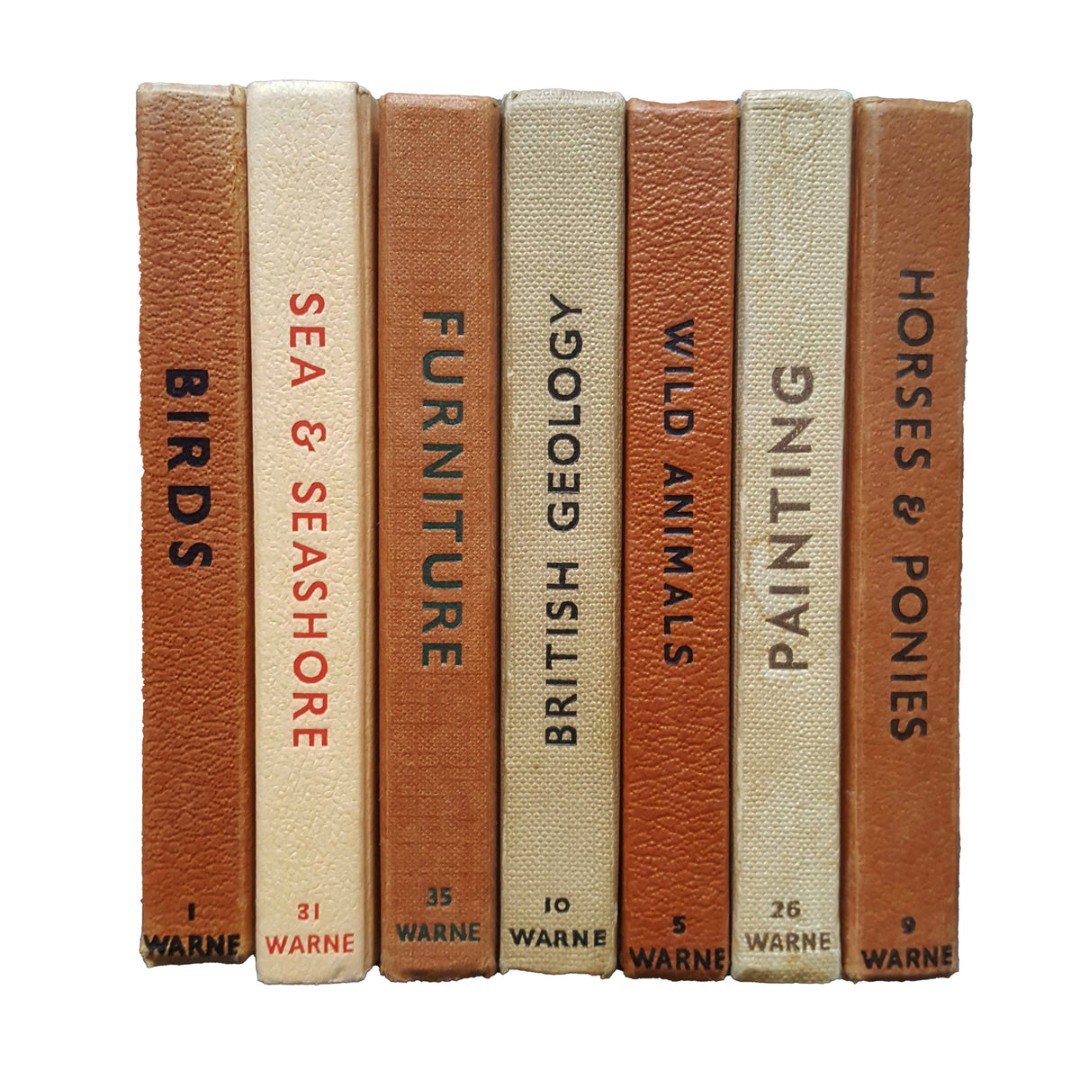 Observer Five Book Earth Tone Collection - Beige-Brown