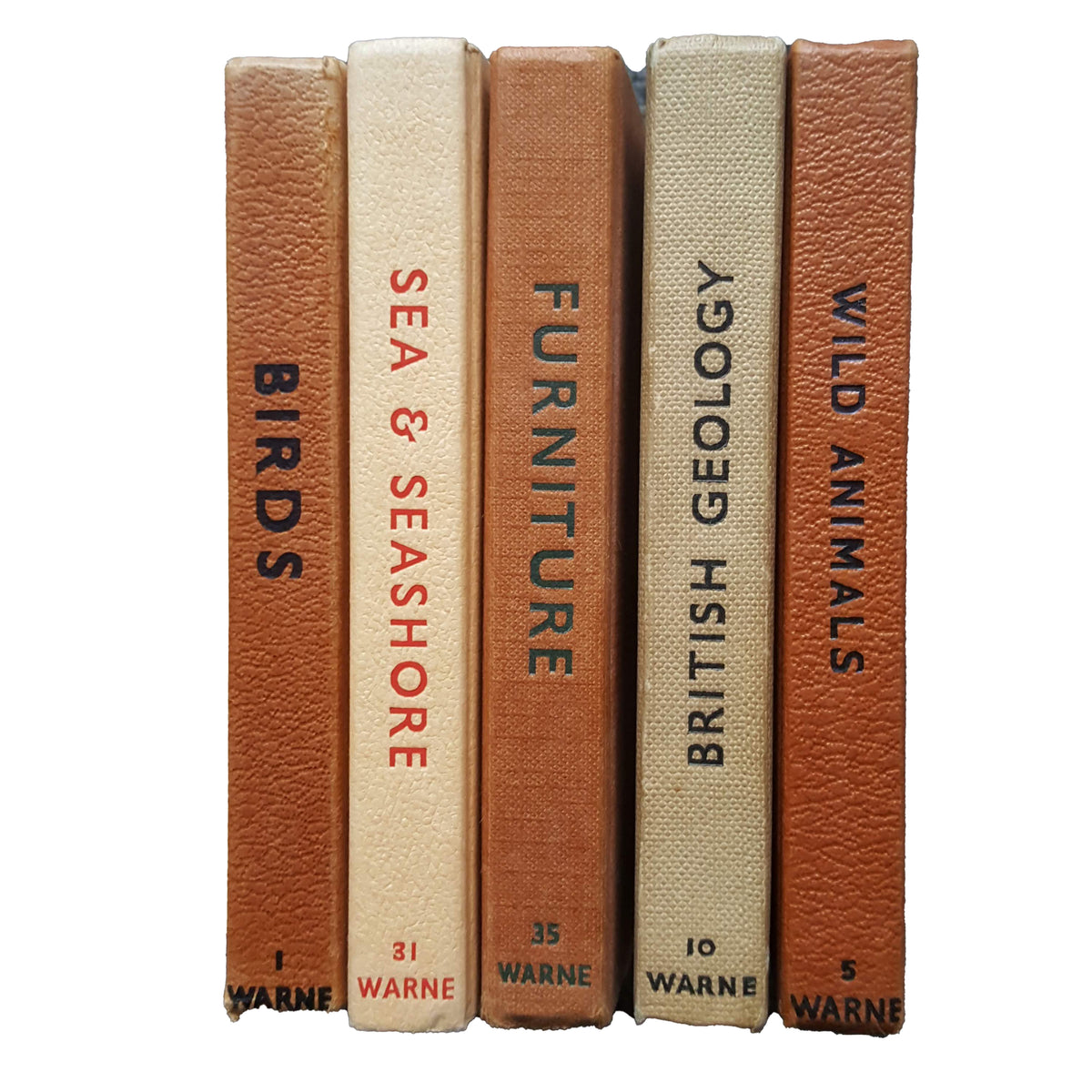 Observer Five Book Earth Tone Collection - Beige-Brown