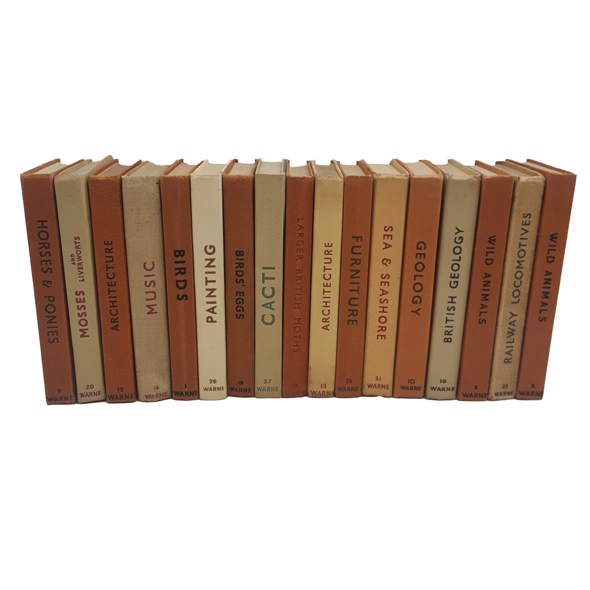 Observer Five Book Earth Tone Collection - Beige-Brown