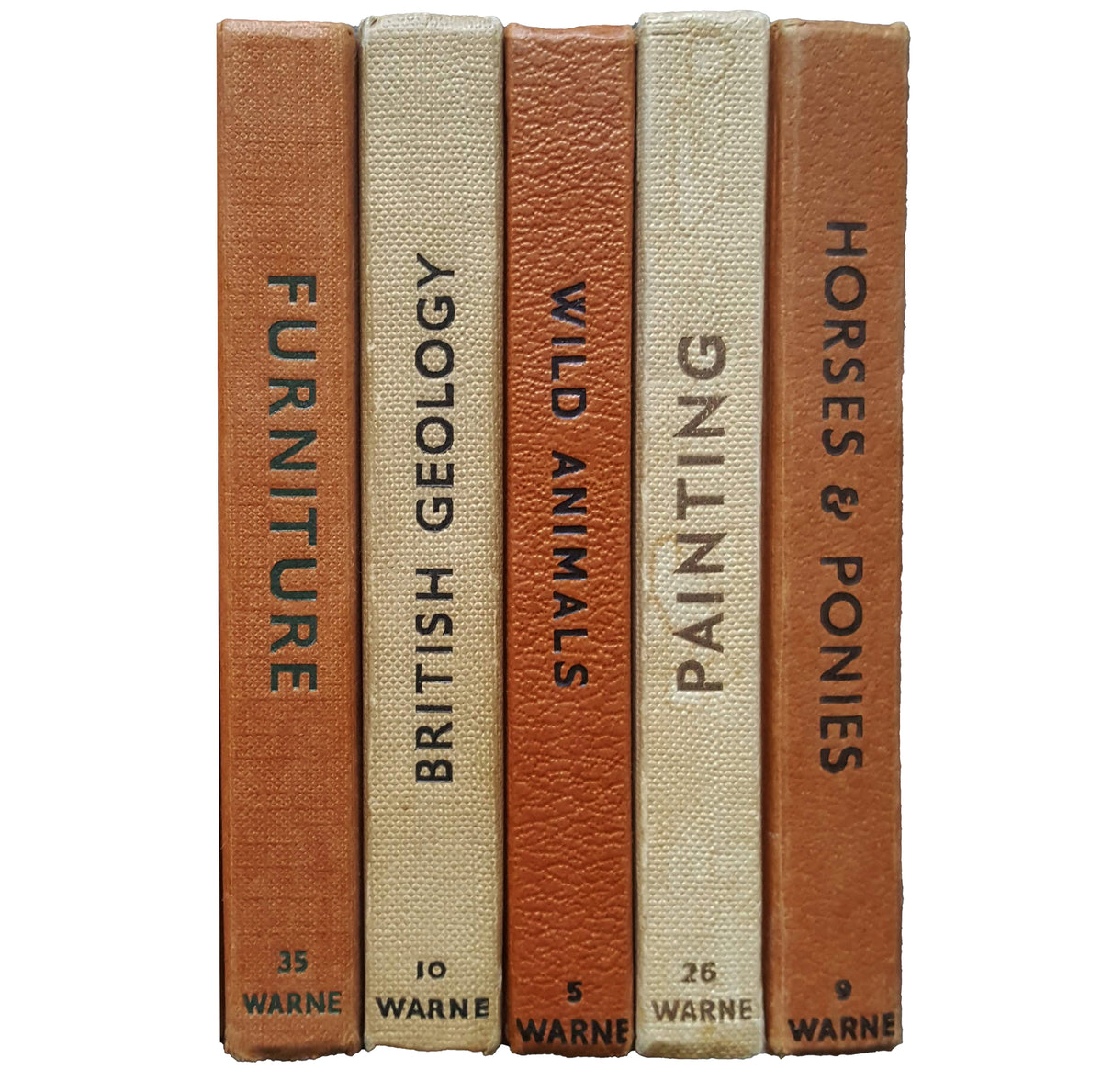 Observer Five Book Earth Tone Collection - Beige-Brown