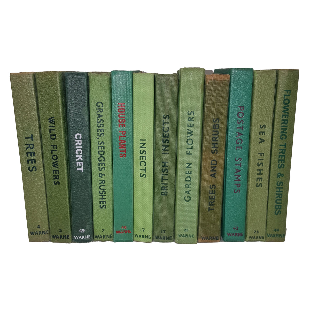 Observer Five Book Green Collection