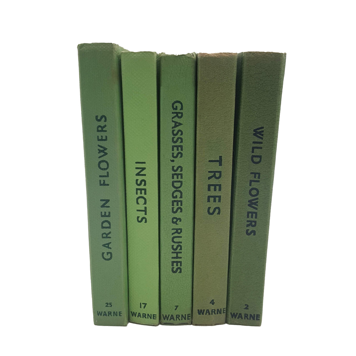 Observer Five Book Green Collection