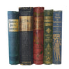 Books By The Foot: Vintage Jewel Colours