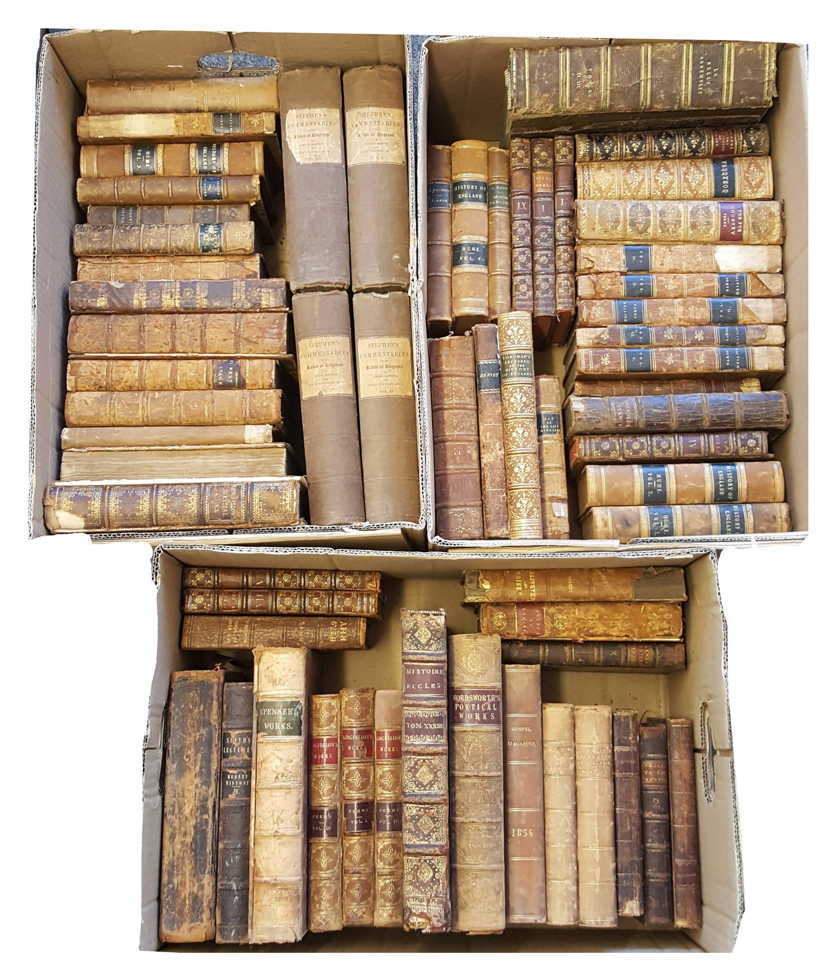 Books By The Metre: Leather-Bound