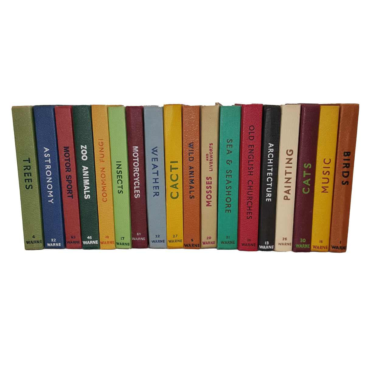 Multicolour Observer Collection (6 Books)
