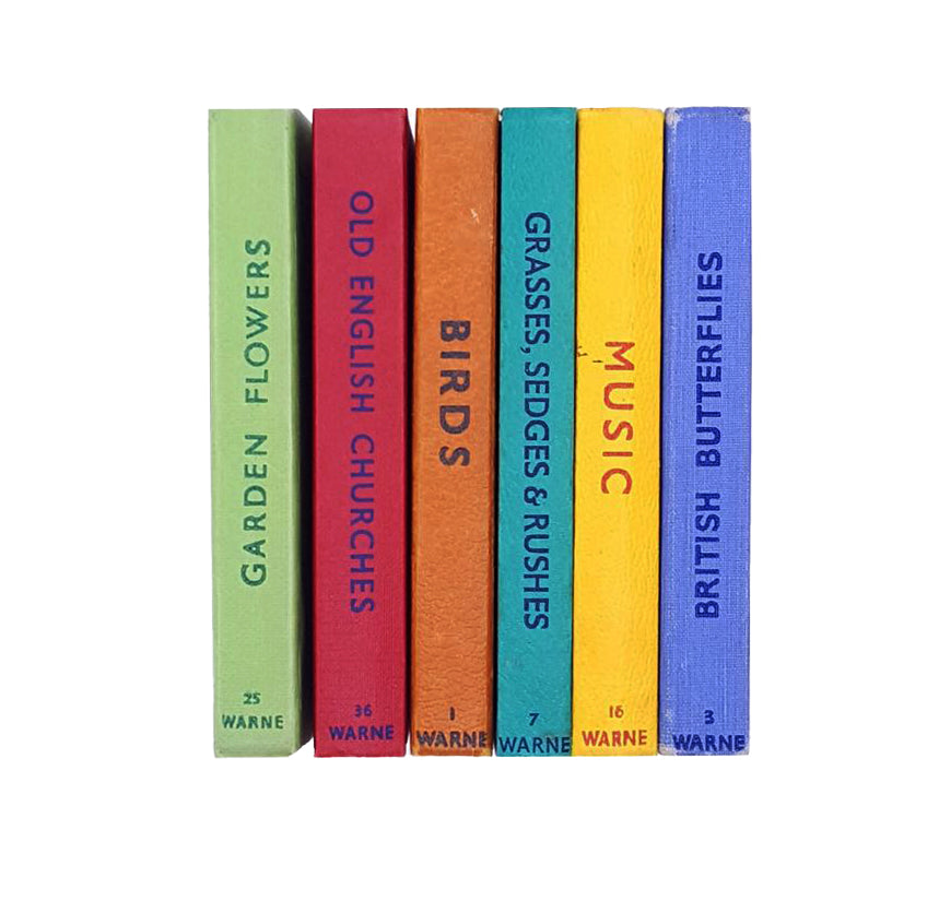 Multicolour Observer Collection (6 Books)