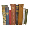 Books By The Foot: Vintage Travel