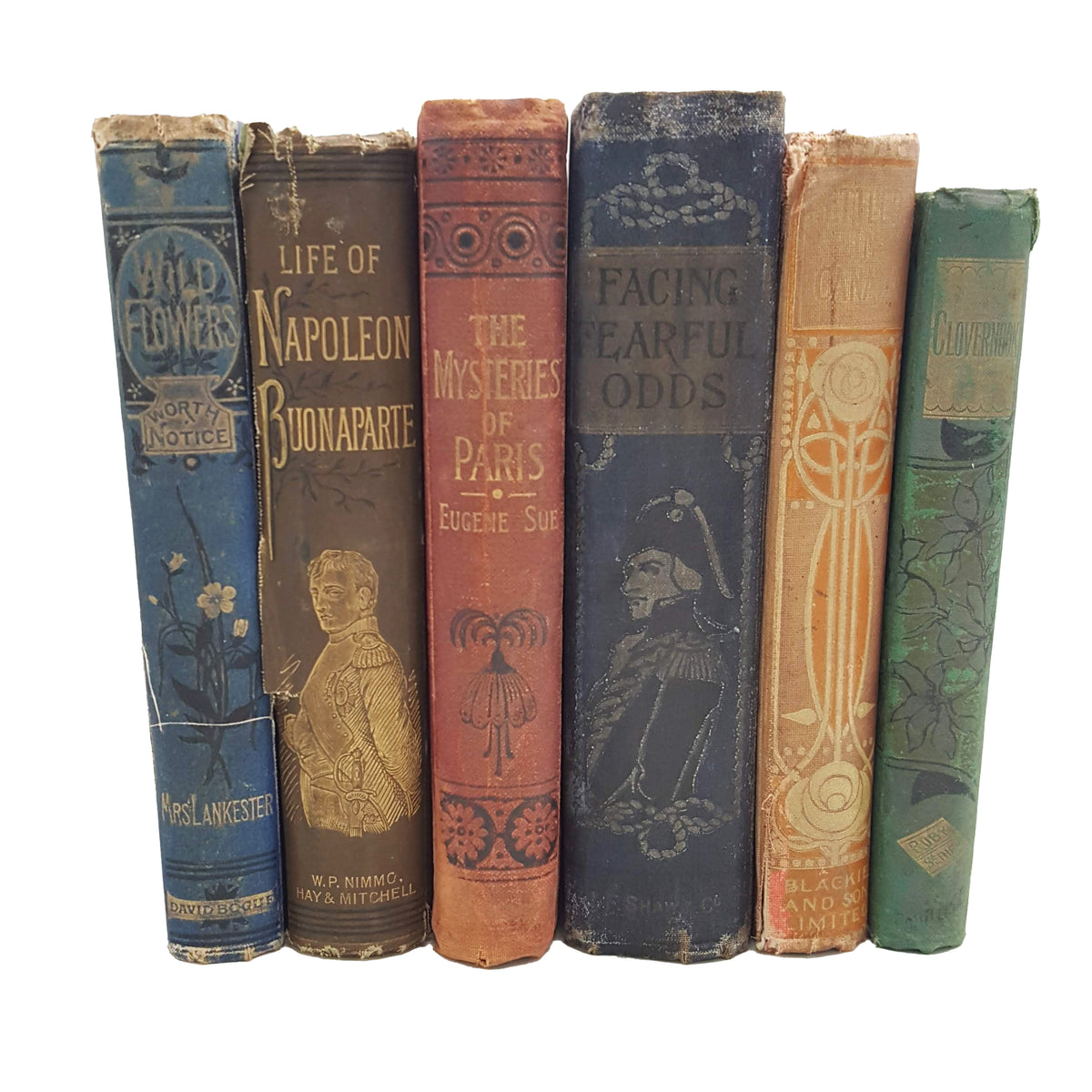 Well-Loved Books By The Foot: Vintage Highly Decorative Mixed Colour