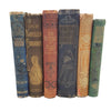 Well-Loved Books By The Foot: Vintage Highly Decorative Mixed Colour