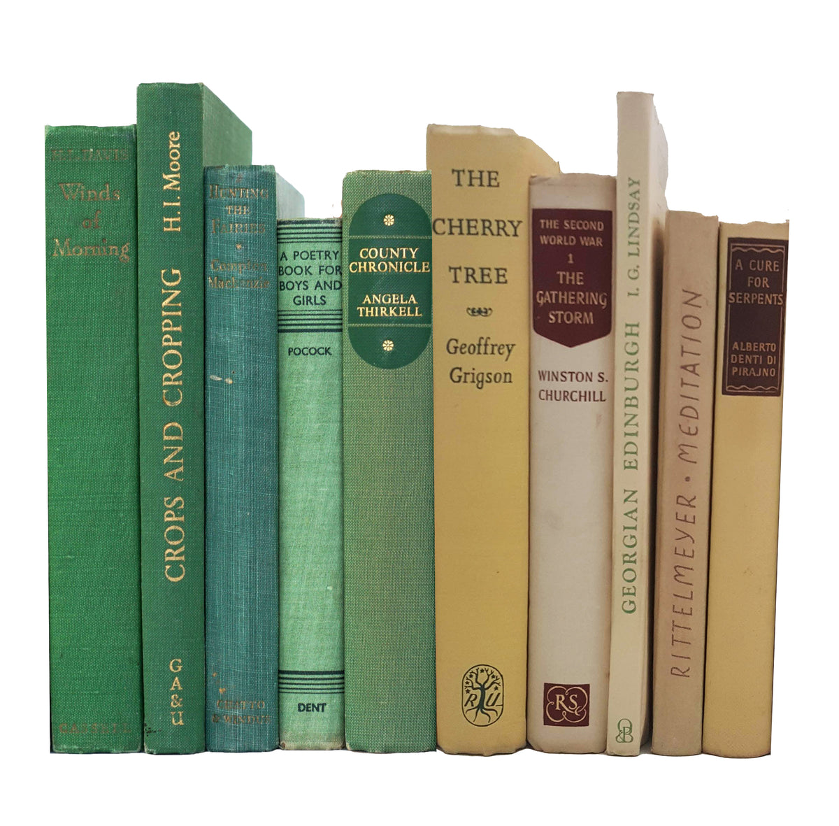 Books by the Metre: Beige &amp; Green