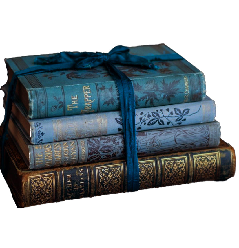 Books by the Foot: Highly Decorative Blue &amp; Gold