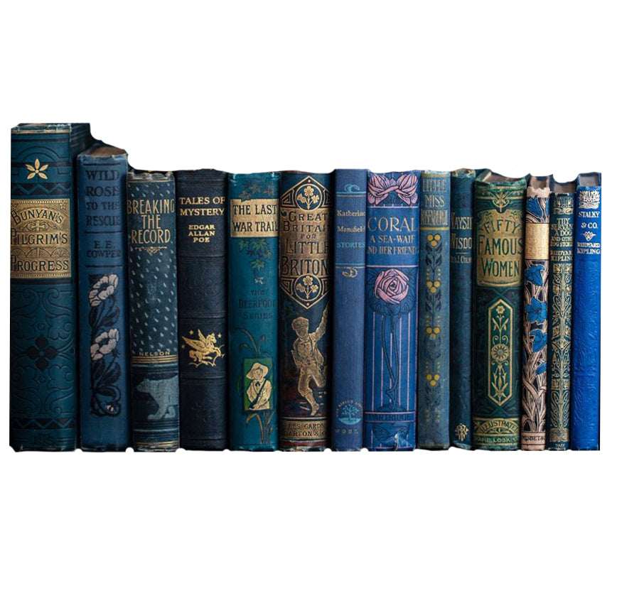 Books by the Foot: Highly Decorative Blue &amp; Gold