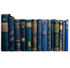 Books by the Foot: Highly Decorative Blue & Gold