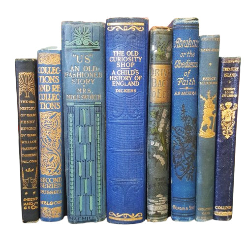 BOOKS BY THE FOOT: Blue and Gold Collection