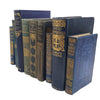 Books by the Foot: Highly Decorative Blue & Gold