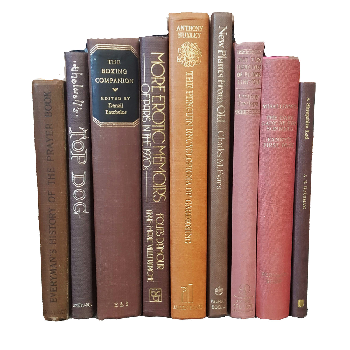 Books by the Metre: Vintage Brown