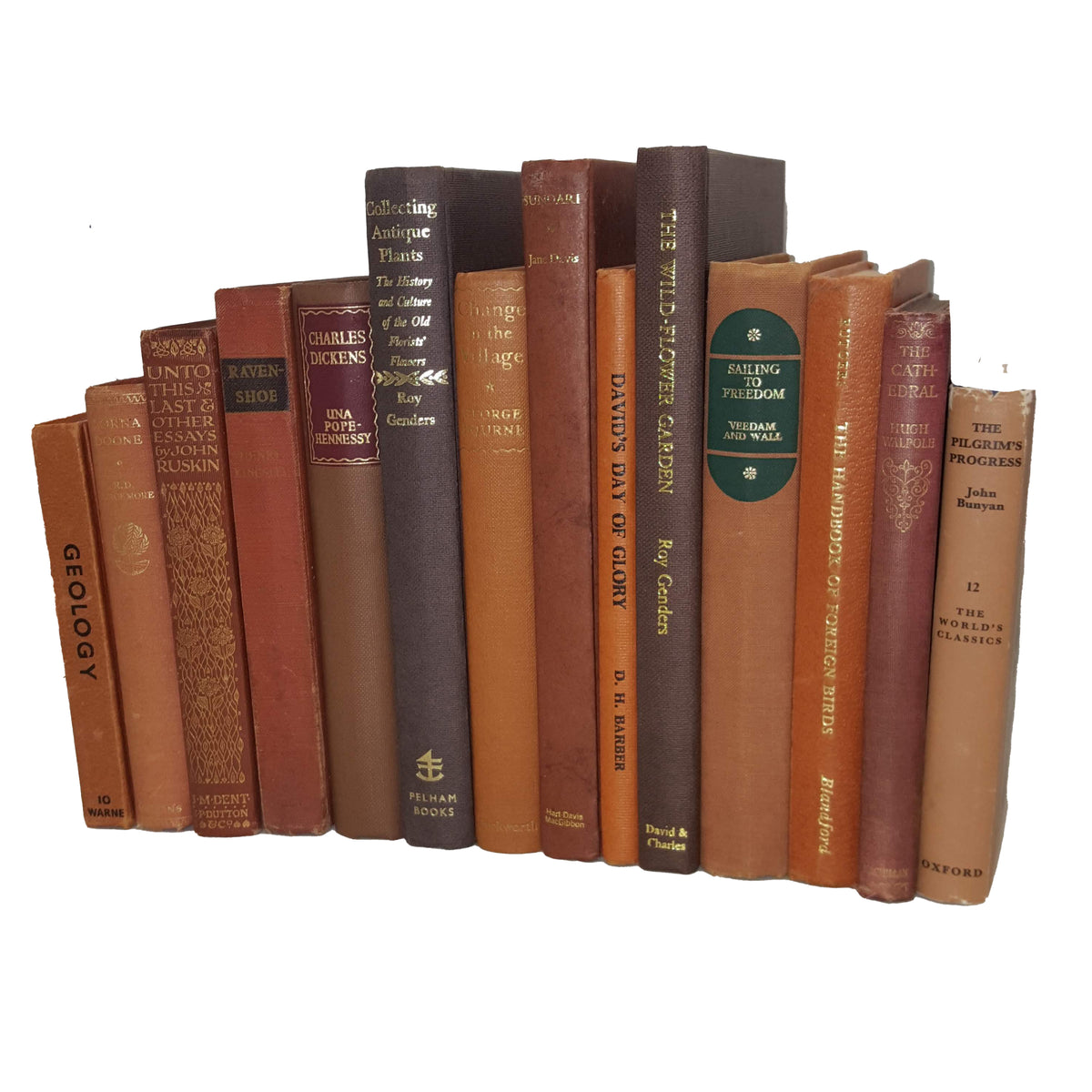 Books by the Metre: Vintage Brown