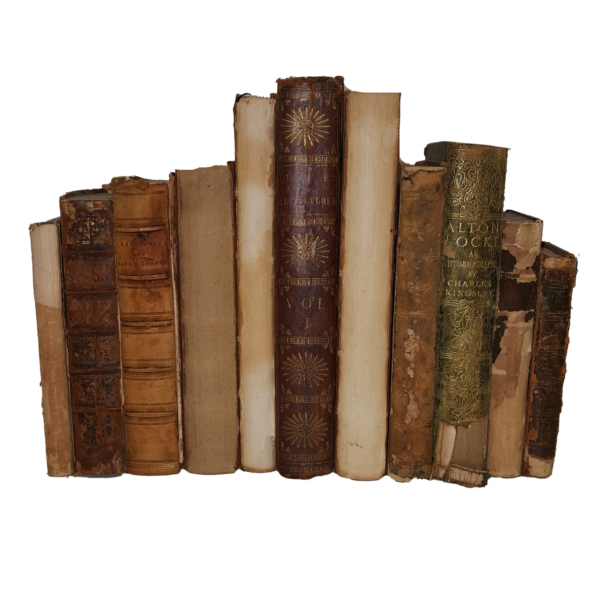 Books By The Foot: Distressed Leather-Bound