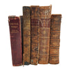 Books By The Foot: Distressed Leather-Bound