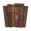 Books By The Foot: Highly Decorative Brown