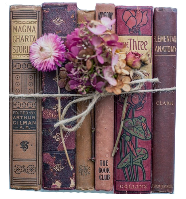 Books By The Foot: Highly Decorative Brown