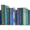 BOOKS BY THE METRE: Vintage Blue