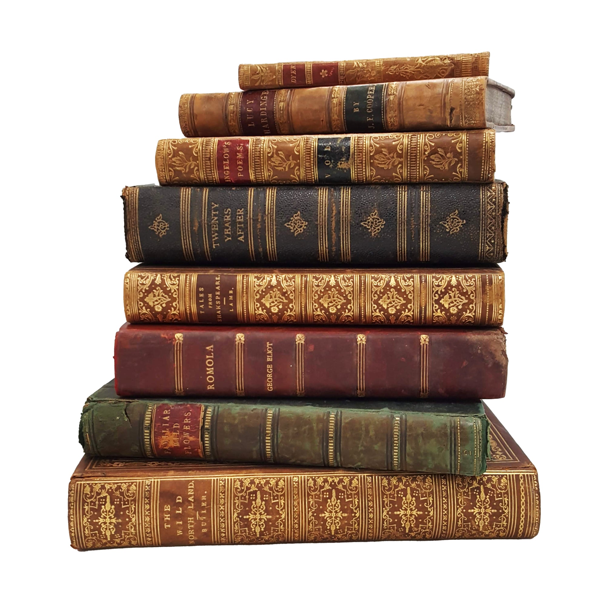Books By The Foot: Highly Decorative Leather Bound Collection