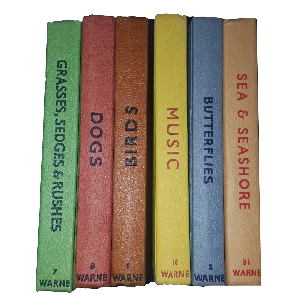 Multicolour Observer Collection (6 Books)