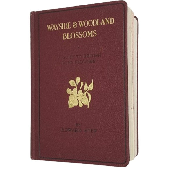 Wayside &amp; Woodland Blossoms Series I by Edward Step - Warne 1948