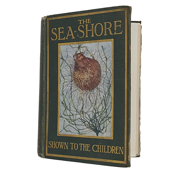 The Sea-Shore Shown to the Children by Janet Harvey Kelman and Rev. Theodore Wood - Jack 1913