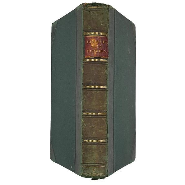 Familiar Wild Flowers by F Edward Hulme - Cassell
