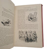 Gulliver's Travels by Jonathan Swift - Ilustrated, Ward Lock & Co. c.1899