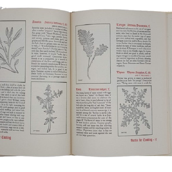 Herbs for the Mediaeval Household by Margaret B. Freeman - Metropolitan Museum of Art 1979