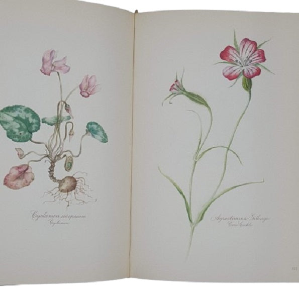 A Book of Wild Flowers by Elsa Felsko - Bruno Cassirer Oxford 1956