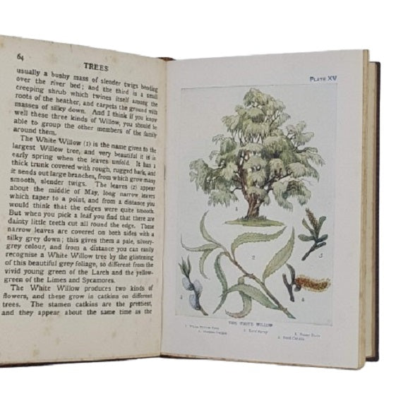 Trees Shown to the Children by Janet Harvey Kelman and C. E. Smith - T. C. and E. C. Jack 1949