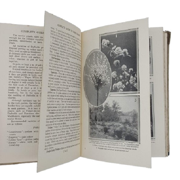 The Complete Guide to Home Gardens edited by M. James - Associated Newspapers