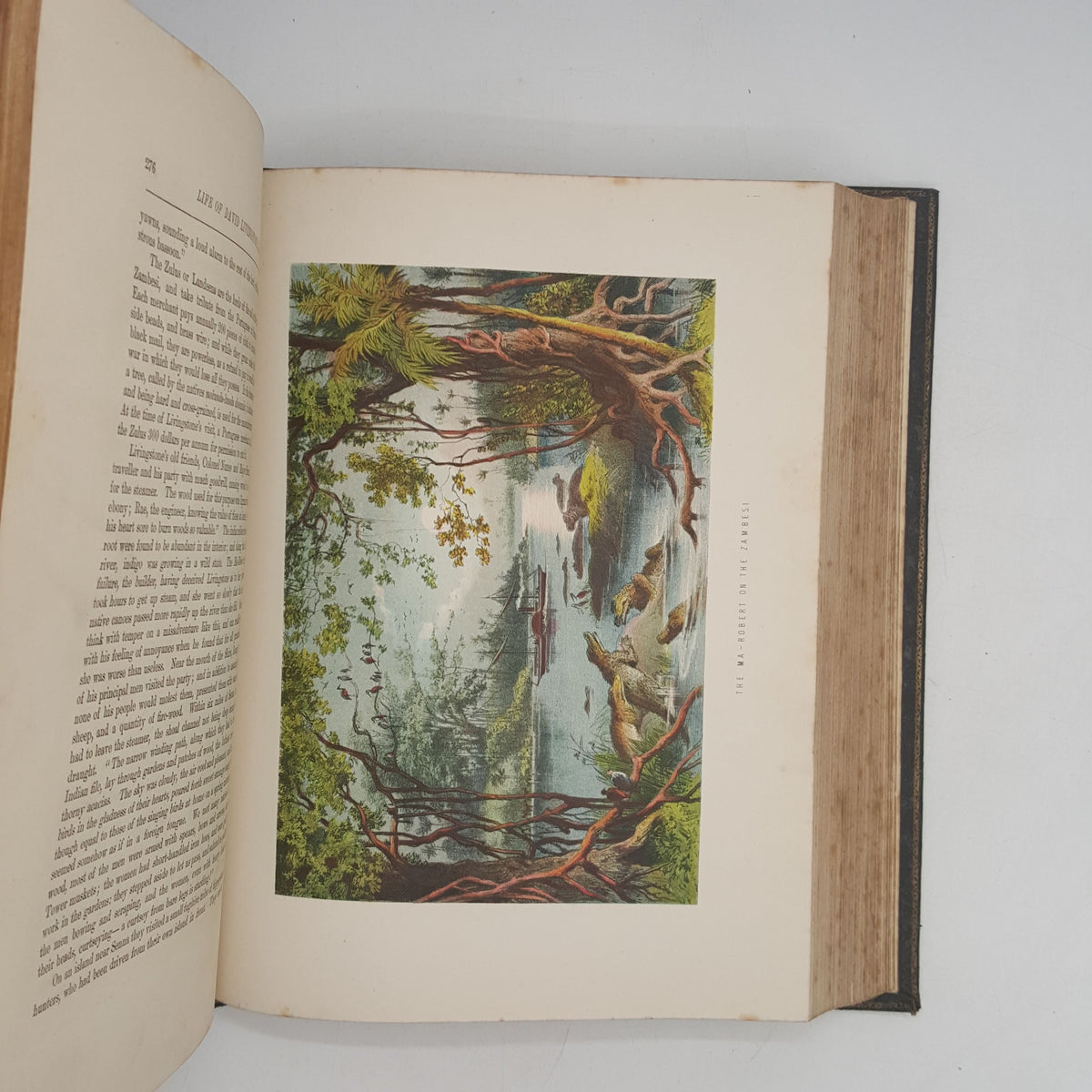 The Life &amp; Explorations of Dr. Livingstone - Adam and Co. c.1870