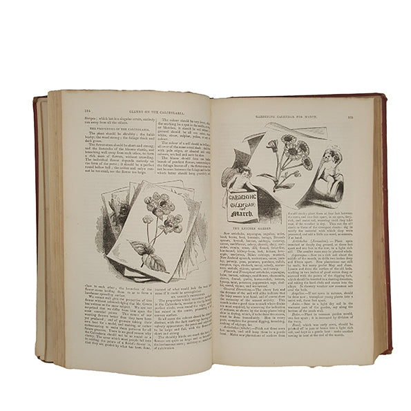 Annals of Horticulture, 1848