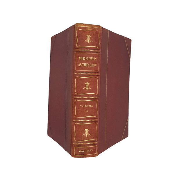 Wild Flowers As They Grow, Vol. II by G. Clarke Nuttall