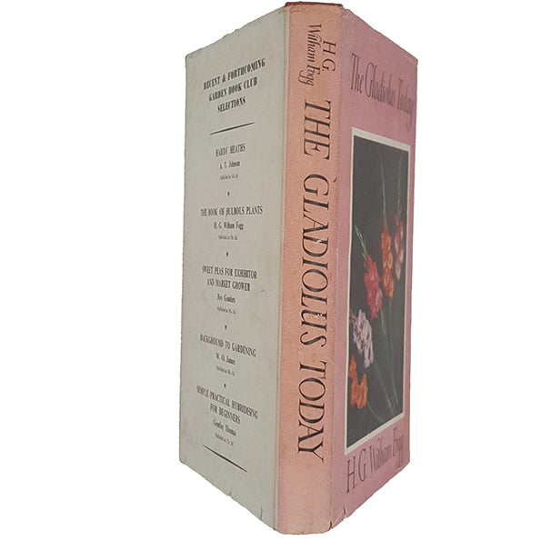 Gladiolus Today by H. G. Witham Fogg - The Garden Book Club