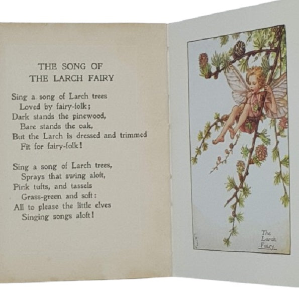 Flower Fairies of the Spring by Cicely Mary Barker - Blackie