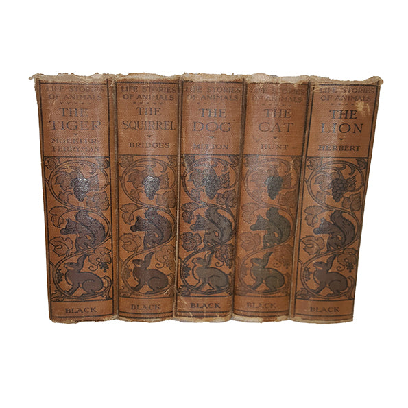 The Life Story of The Dog Etc. Animal Collection, 1924  (5 Brown Books)