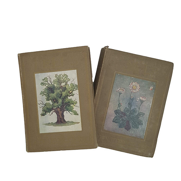 Flowers and Trees by Janet Harvey Kelman (2 Books)